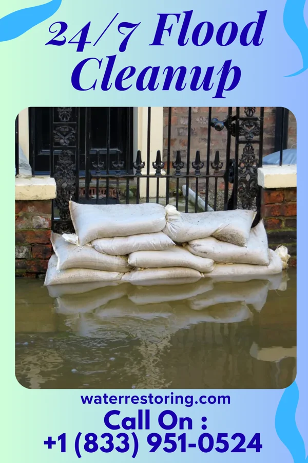 24/7 Flood Cleanup in Brewster Heights, NY
