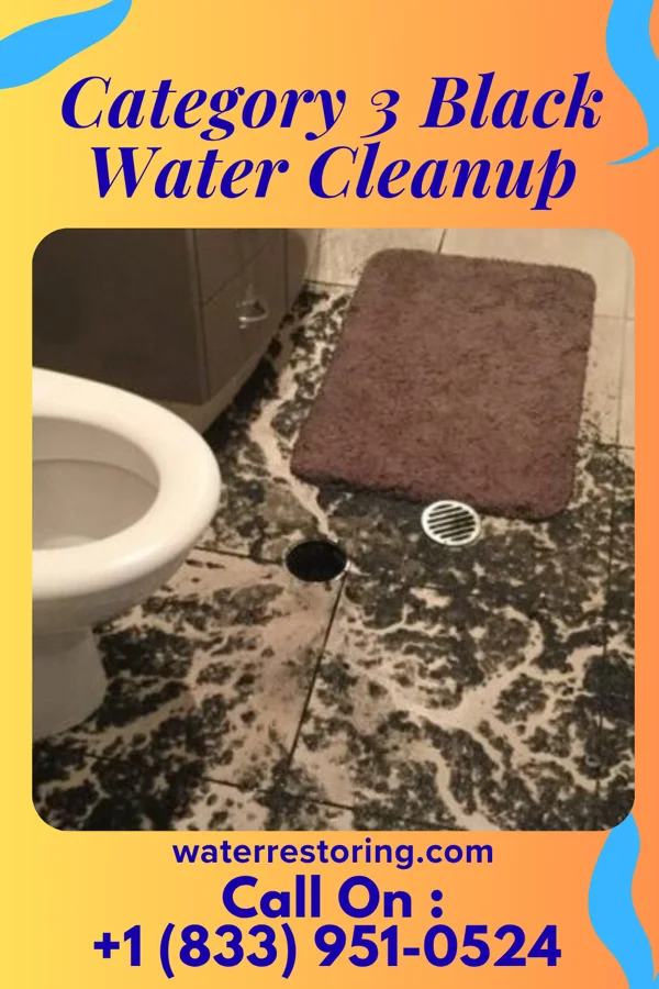 Category 3 Black Water Cleanup in Brewster Heights, NY