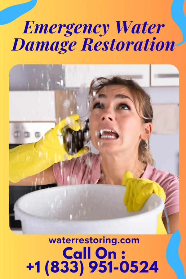Emergency Water Damage Restoration in Brewster Heights, NY
