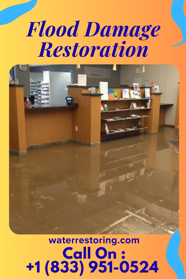 Flood Damage Restoration in Brewster Heights, NY