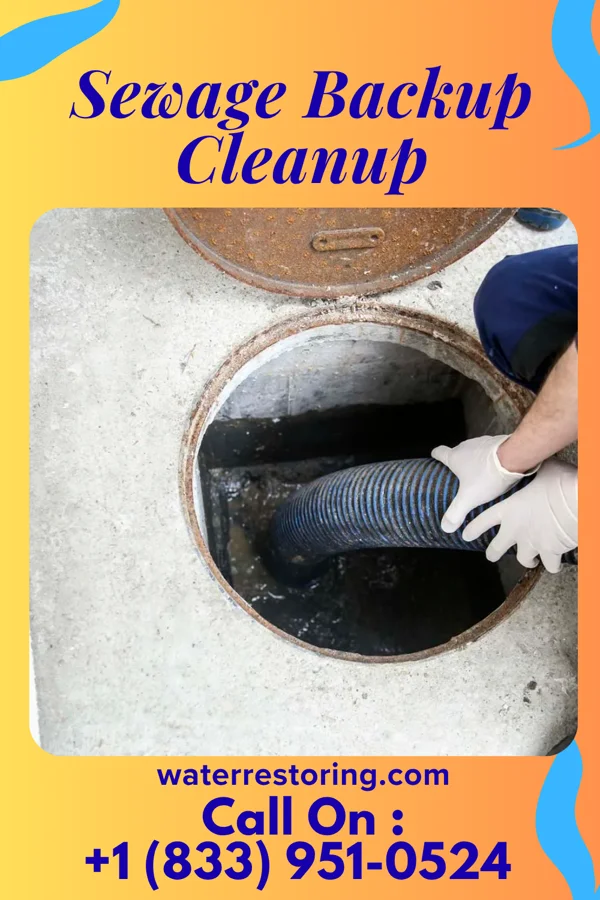 Sewage Backup Cleanup in Brewster Heights, NY
