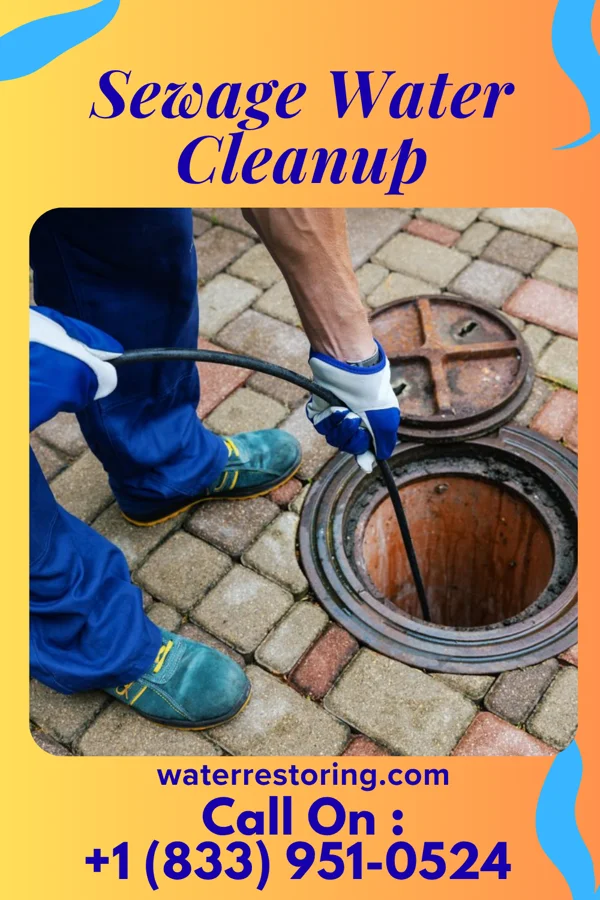 Sewage Water Cleanup in Brewster Heights, NY